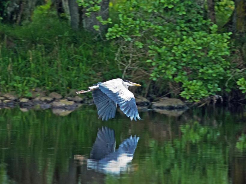 Herons Rest Drumnadrochit Kültér fotó